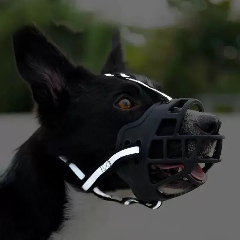 Anti - BarkDog™ - Chienfidele