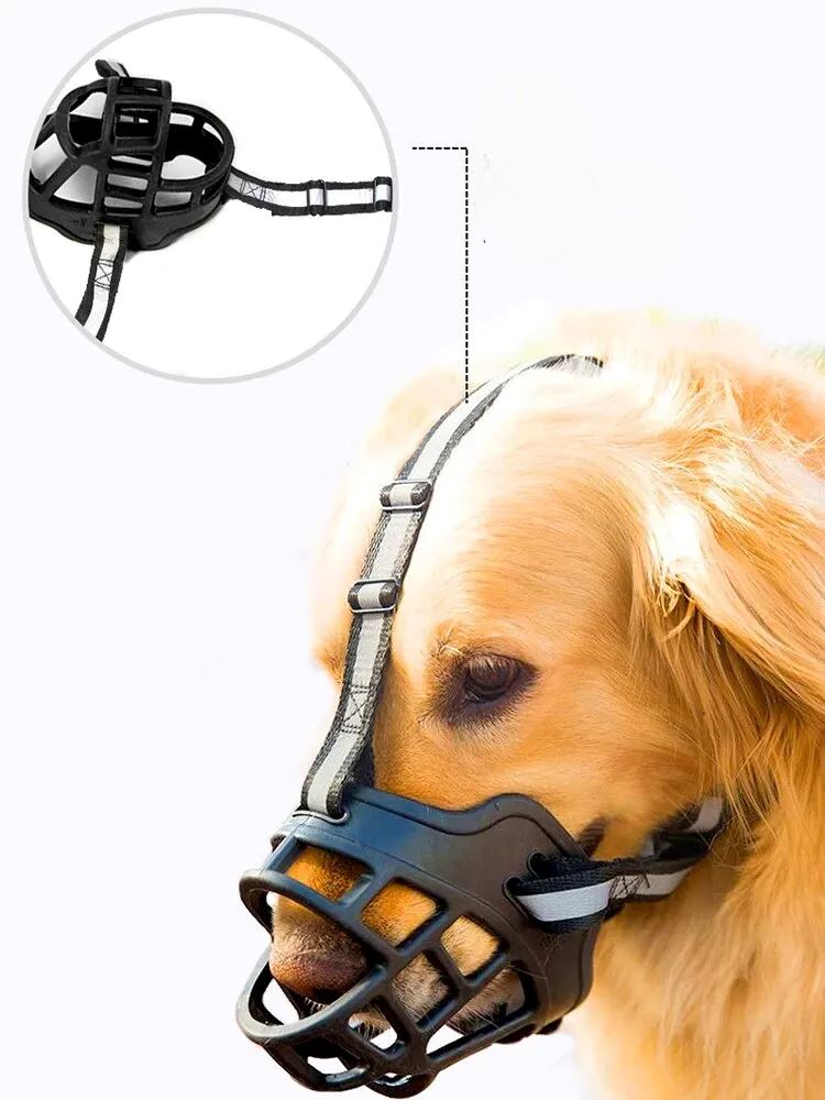 Anti - BarkDog™ - Chienfidele