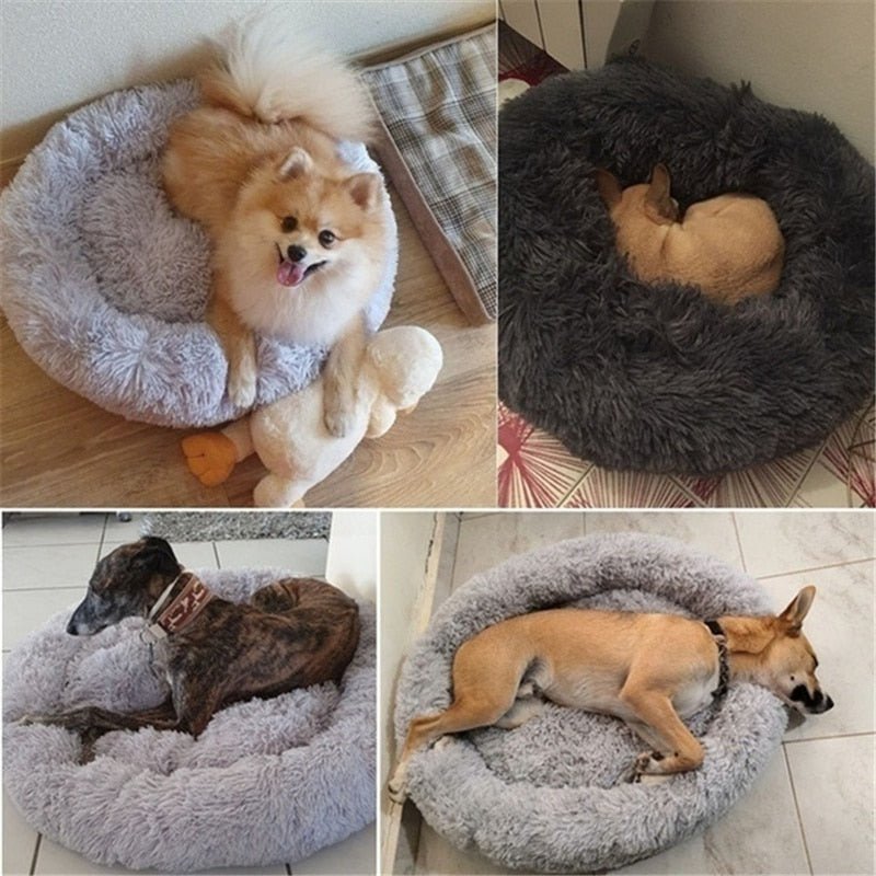 DoggyPouf™ - Coussin doux pour chien - Chienfidele