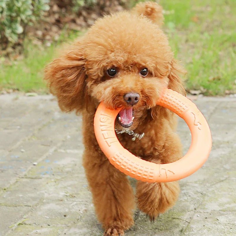 DogTrainingRing™ - Chienfidele