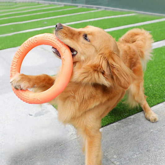 DogTrainingRing™ - Chienfidele