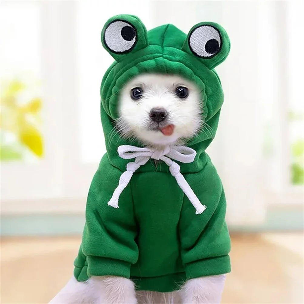 HoodieGrenouilleMignonPourChiens™ - Chienfidele