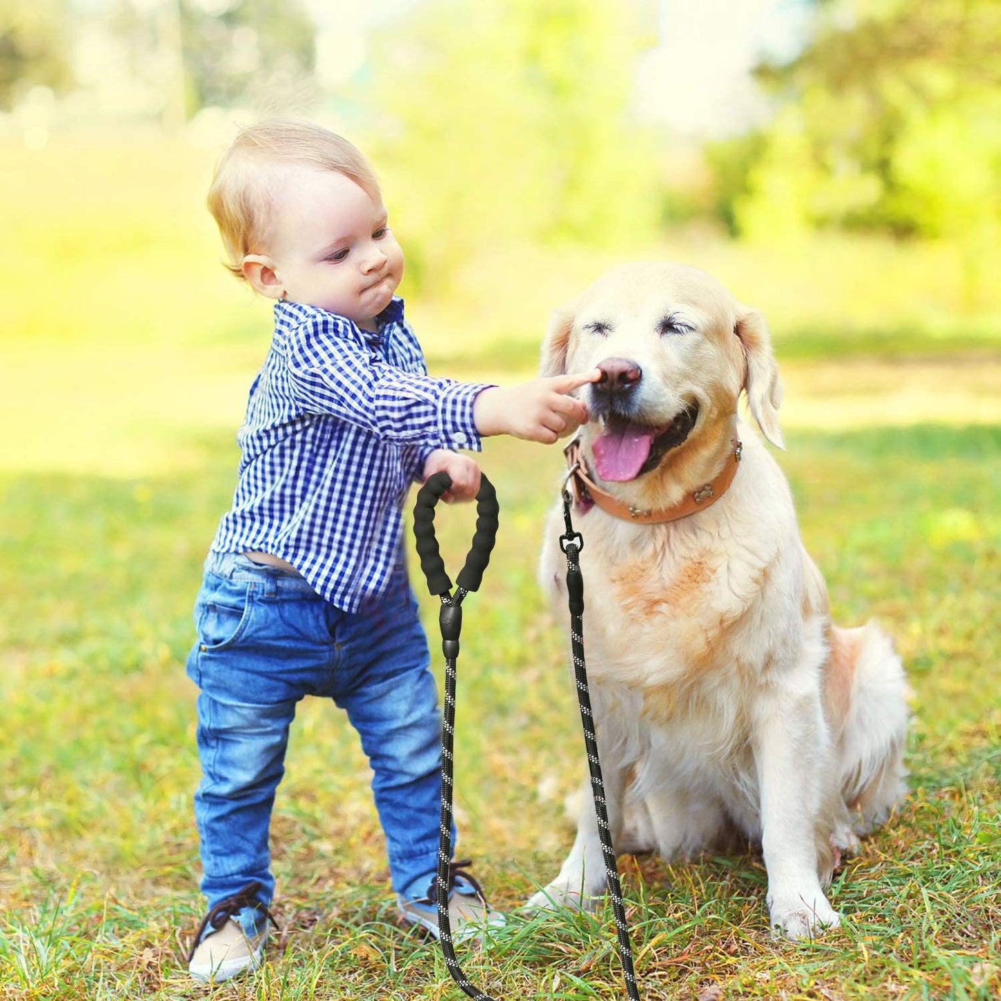 LaisseEduc™ - Corde en Nylon pour chien | Chien - Chienfidele