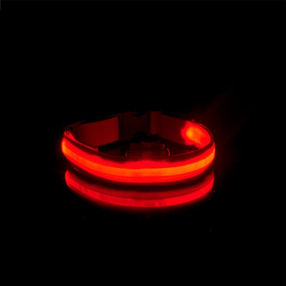 LedCollar™ - Collier à LED rechargeable pour chien - Chienfidele