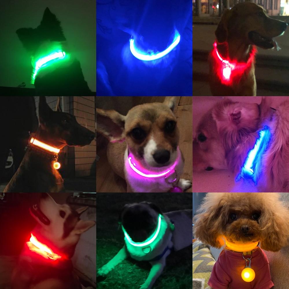 LedCollar™ - Collier à LED rechargeable pour chien - Chienfidele