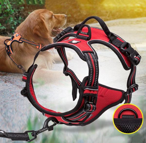 SafetyHarness™ - Harnais pour animal de compagnie - Chienfidele