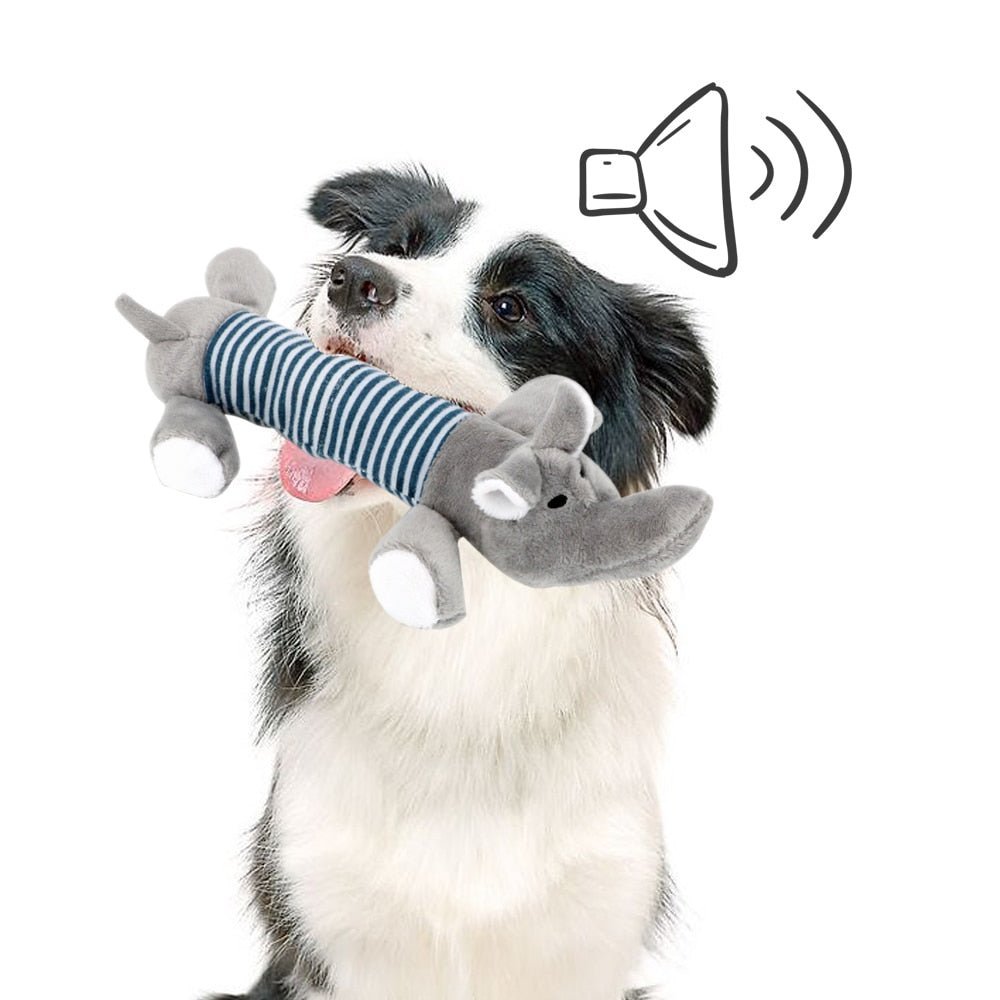 SoundToys™ - Jouet peluche pour chiens - Chienfidele